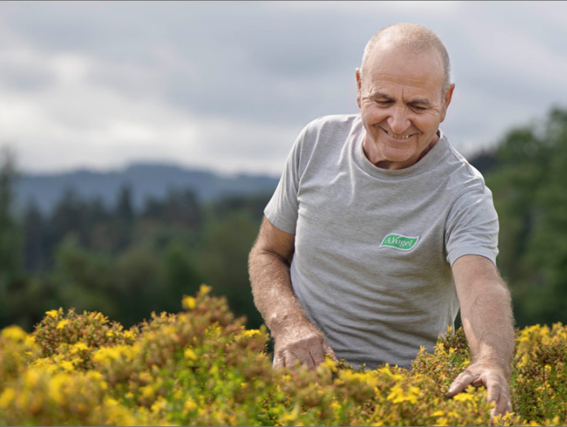 A.Vogel publica su primer Informe de Sostenibilidad y reafirma su compromiso con la naturaleza y la salud de las personas