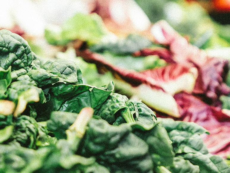 Dieta para mejorar la memoria