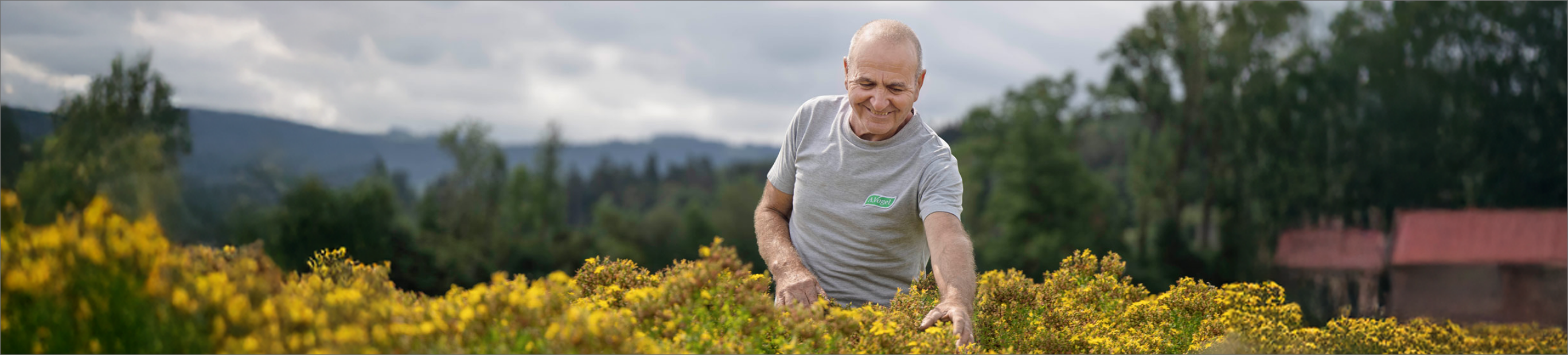 A.Vogel publica su primer Informe de Sostenibilidad y reafirma su compromiso con la naturaleza y la salud de las personas
