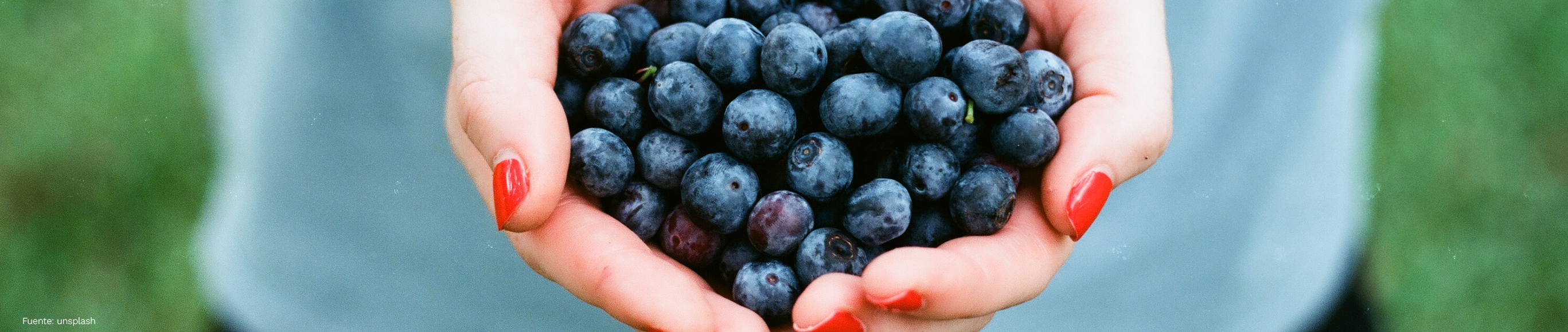Reduce el colesterol con una dieta equilibrada