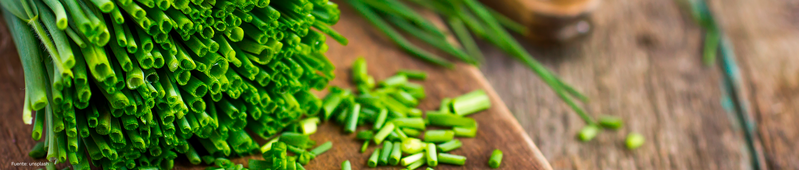 El cebollino: fuente de proteínas, carbohidratos y vitaminas