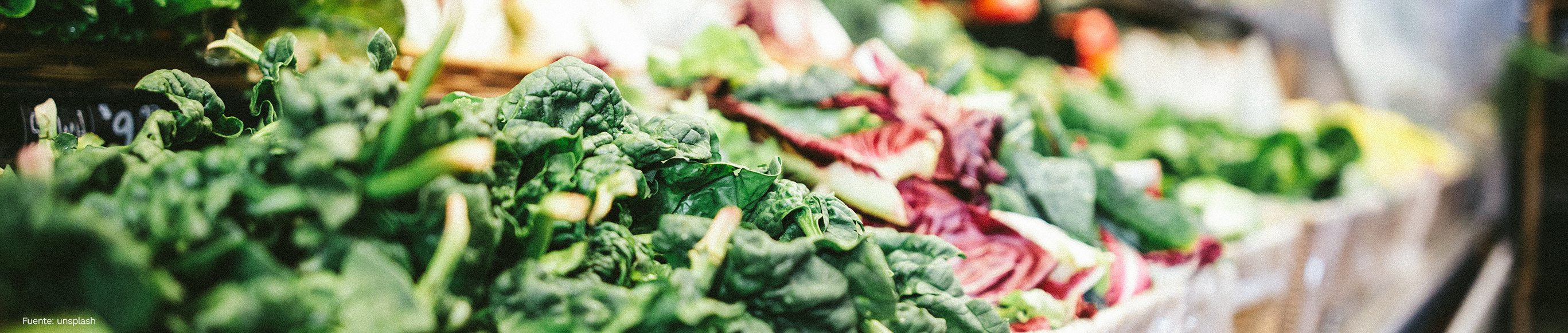 Dieta para mejorar la memoria