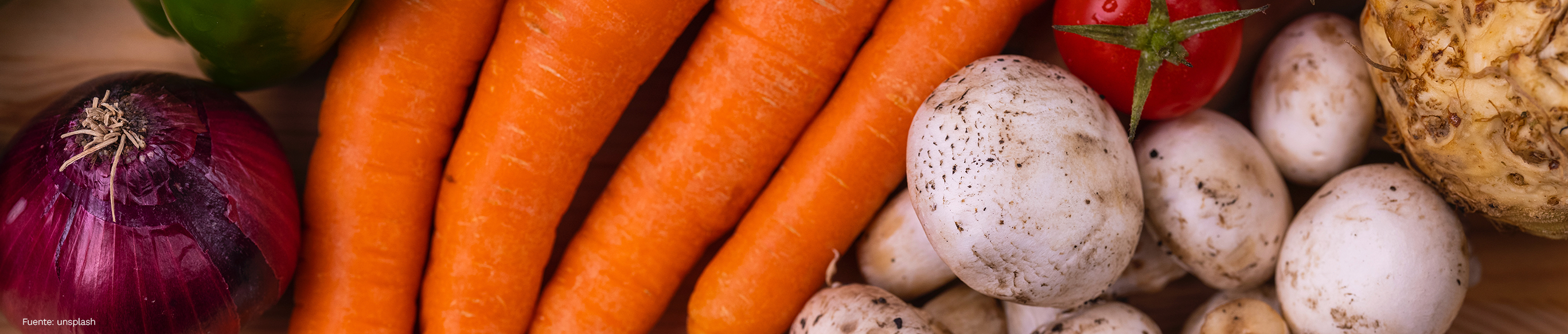 Alimentos ricos en Vitamina D y Calcio
