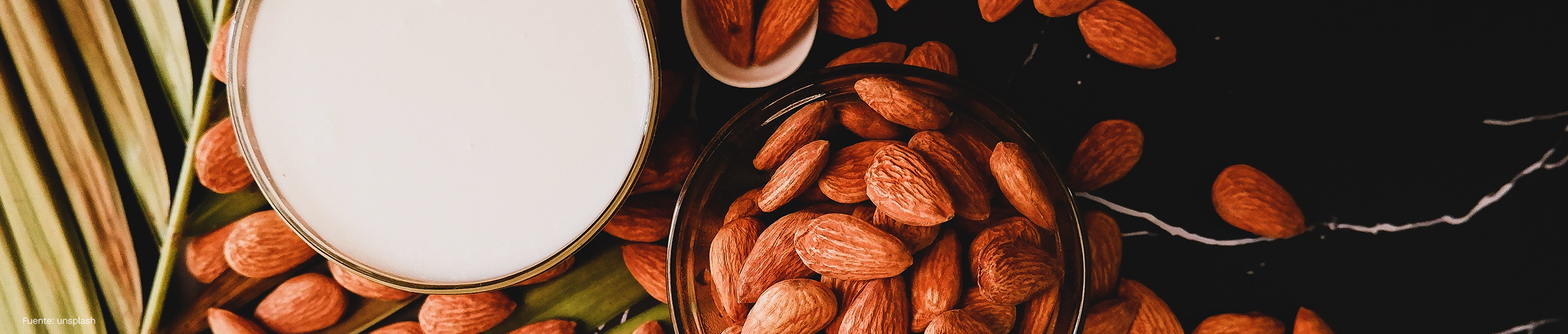 Las leches vegetales, bajas en grasa y sin lactosa