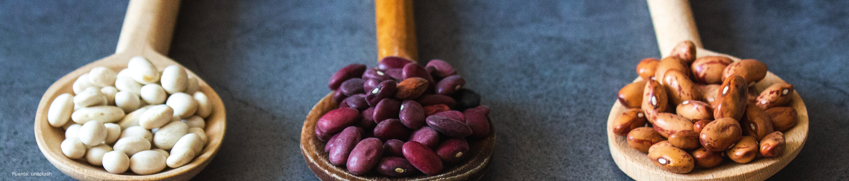 Las legumbres, fuente vegetal de proteínas y libres de colesterol