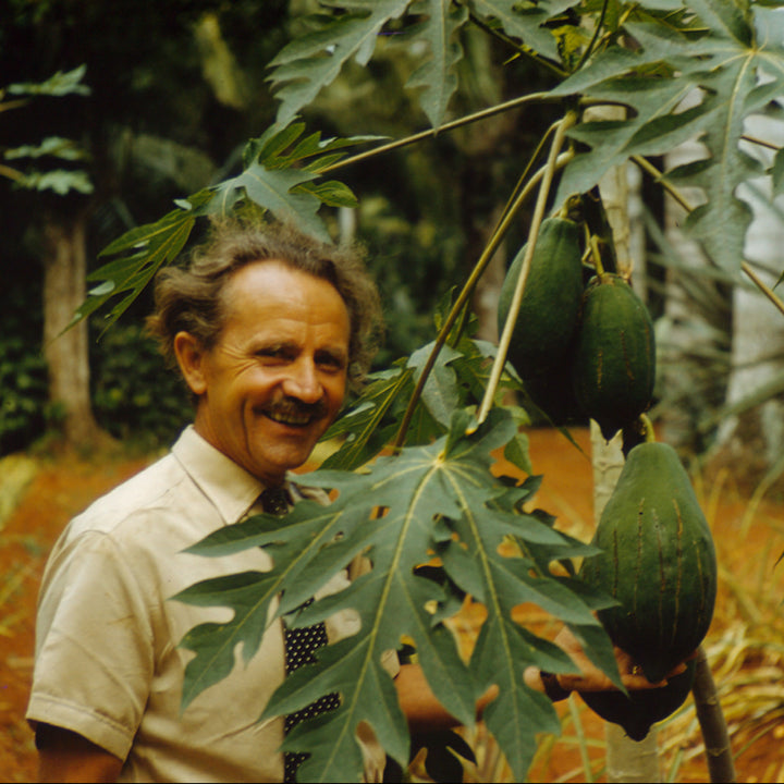 Alfred A.Vogel funda A.Vogel, sentando las bases de una empresa dedicada a la salud natural.