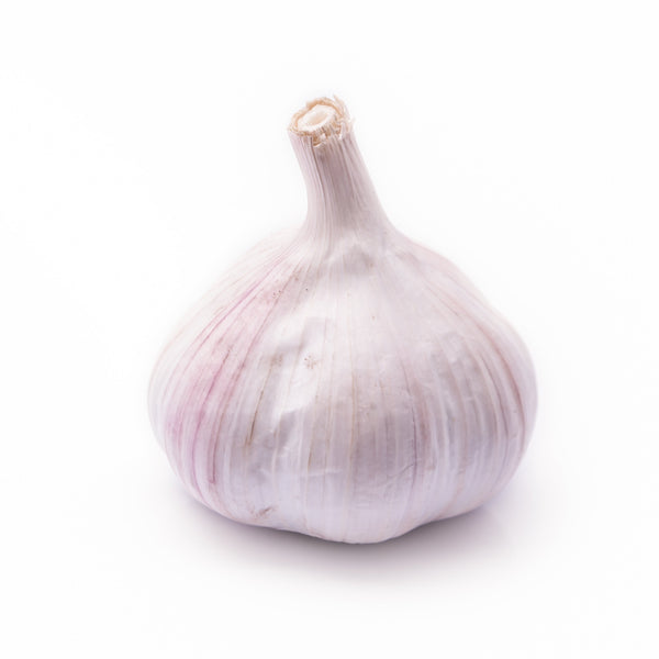 Ajo